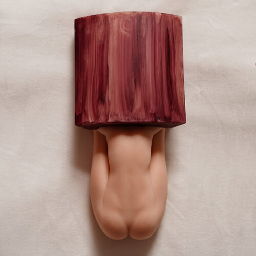DOLLS CASTLE | Reim | 27cm | 1.0kg | SILICONE SEX DOLL | #M6
