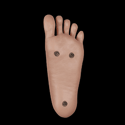 Standing WithBolts (FREE)