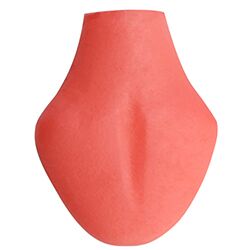 Removable Tongue-1